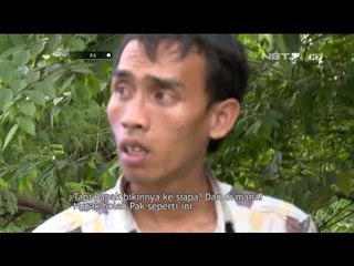 Demi Menjaga Kambing Pria ini Kesampingkan Keselamatannya - 86