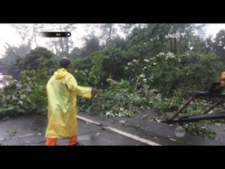 Demi Melihat Pohon Tumbang di Tol, Lalu Lintas Jadi Tersendat - 86