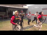 Aksi Keren Tim Bandit Polwan Latihan Menembak - 86