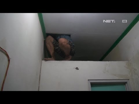 Tangkap Pelaku Rokok Ilegal, Petugas Temukan Ruang Bawah Tanah - Customs Protection