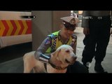 2 Anjing Polisi Ikut Mengamankan Debat Cagub DKI Jakarta - 86