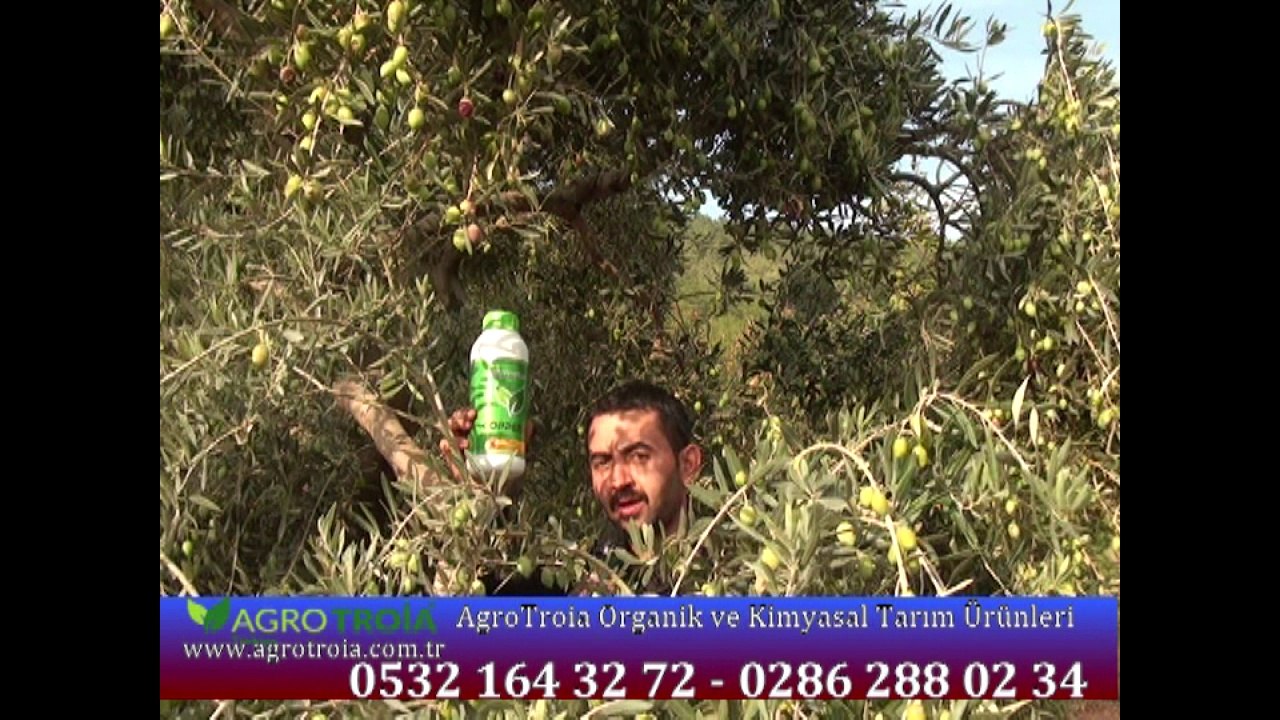 359 .Kırıkhan/HATAY    AgroTroia