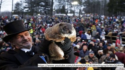 Groundhog Day 2018: Who is Punxsutawney Phil? Did he see his obscure?