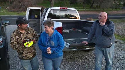 Volunteers Search for Coyote with Head Stuck in Jar
