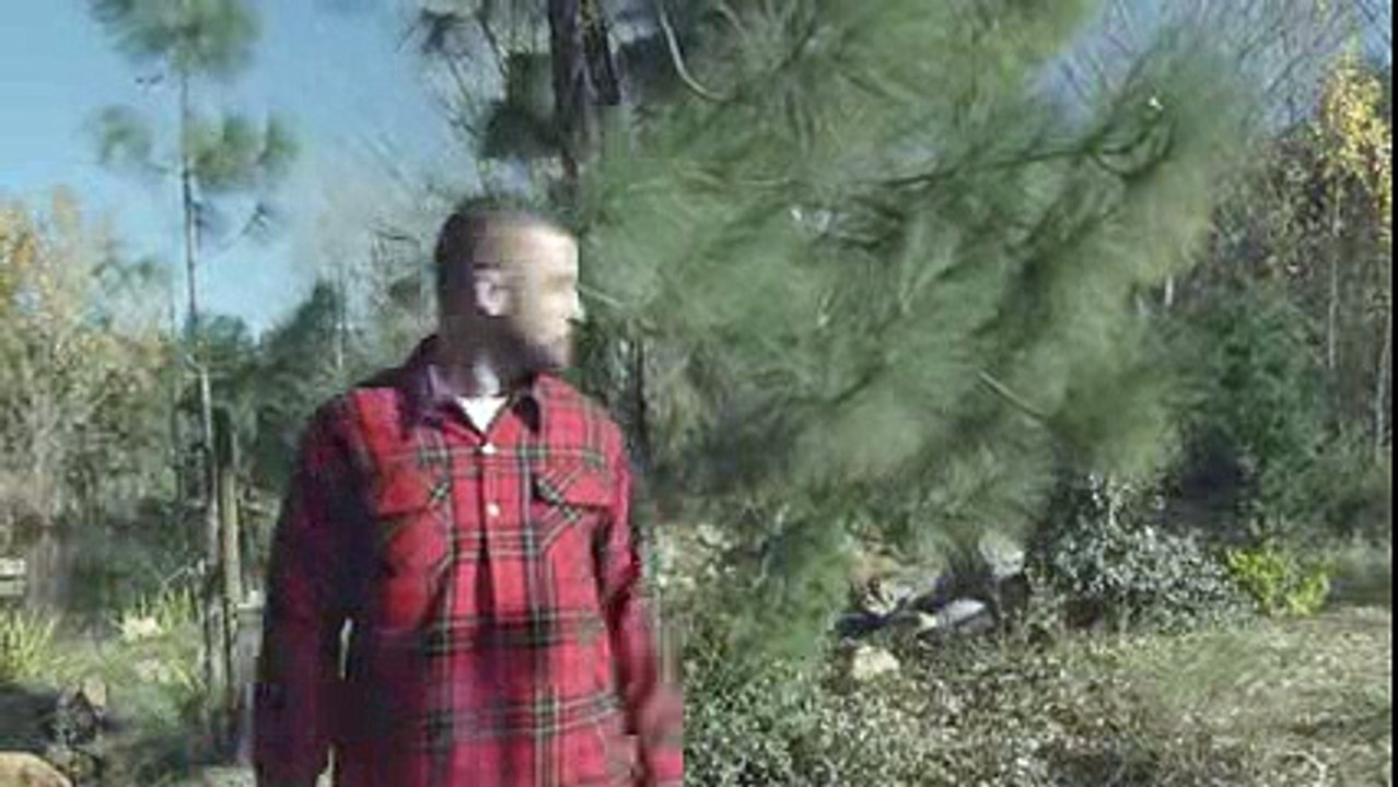 Justin Timberlake - Man of the Woods (Official Video)