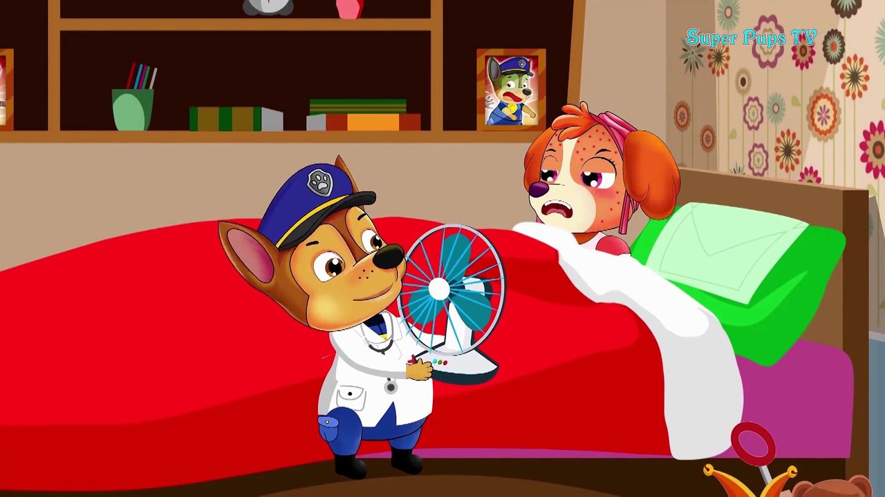 Paw Patrol Cartoon Pups Save Mer Pups Chase Is A Mer Pups! Paw Patrol Cartoon For Kids