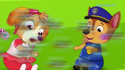 Paw Patrol Cartoon Chase & Skye And Colorful Candy  The Candy To Attract The Bees Coming! Nursery