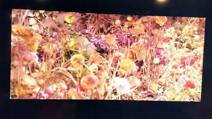 Mrs. Doubtfire Final Deleted Scenes