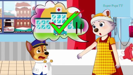 Paw Patrol Cartoon Skye pierced Chase's swimming pool! Finger Family Song Nursery Rhymes