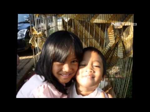 Entertainment News-Kikan sudah tidak diprotes anak saat kerja