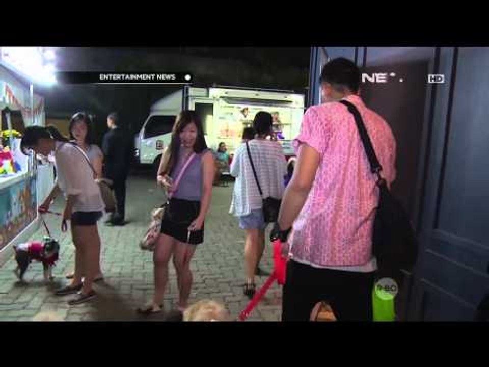 Para selebriti yang rela merawat anjing ditengah kesibukan bekerja