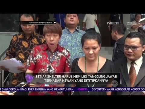 Tanggapan Pakar Hukum Mengenai Kasus Yang Menimpa Hewan Peliharaan
