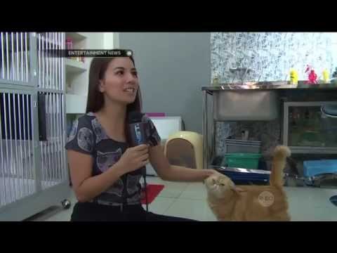 Tya Ariestya bawa kucing kesayangan ke ahli aura