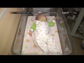 Seekor kucing telah berhasil menyelamatkan seorang bayi kecil