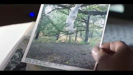 Trailer A Louva-a-Deus - La Mante - S01