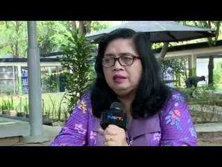 Voxpop selebriti tentang kemacetan Jakarta