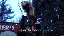 Marmota e o inverno nos EUA