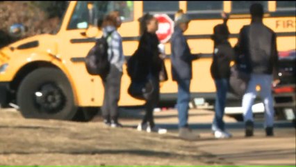 Missing Boa Constrictor Prompts Early Dismissal at Missouri School