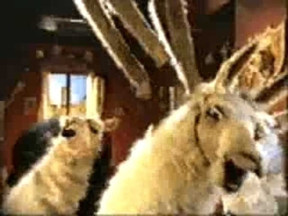 La llama que llama