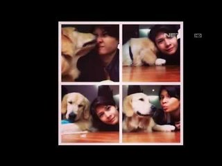 Kaemita Boediono cinta dengan hewan peliharaan