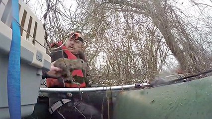 Adorable Rabbits Need A Little Rescuing