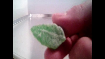 Download Video: CRUSHED IT. SPEARMINT LEAF CANDY. FROM VICTOR PIZZEY FELECIA187, RED DEER ALBERTA CANADA, I AM CANADIAN.