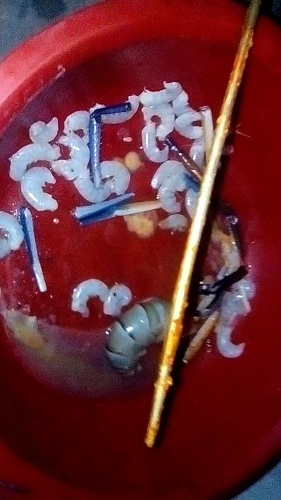 DONATE CAR TO CHARITY CALIFORNIA ali