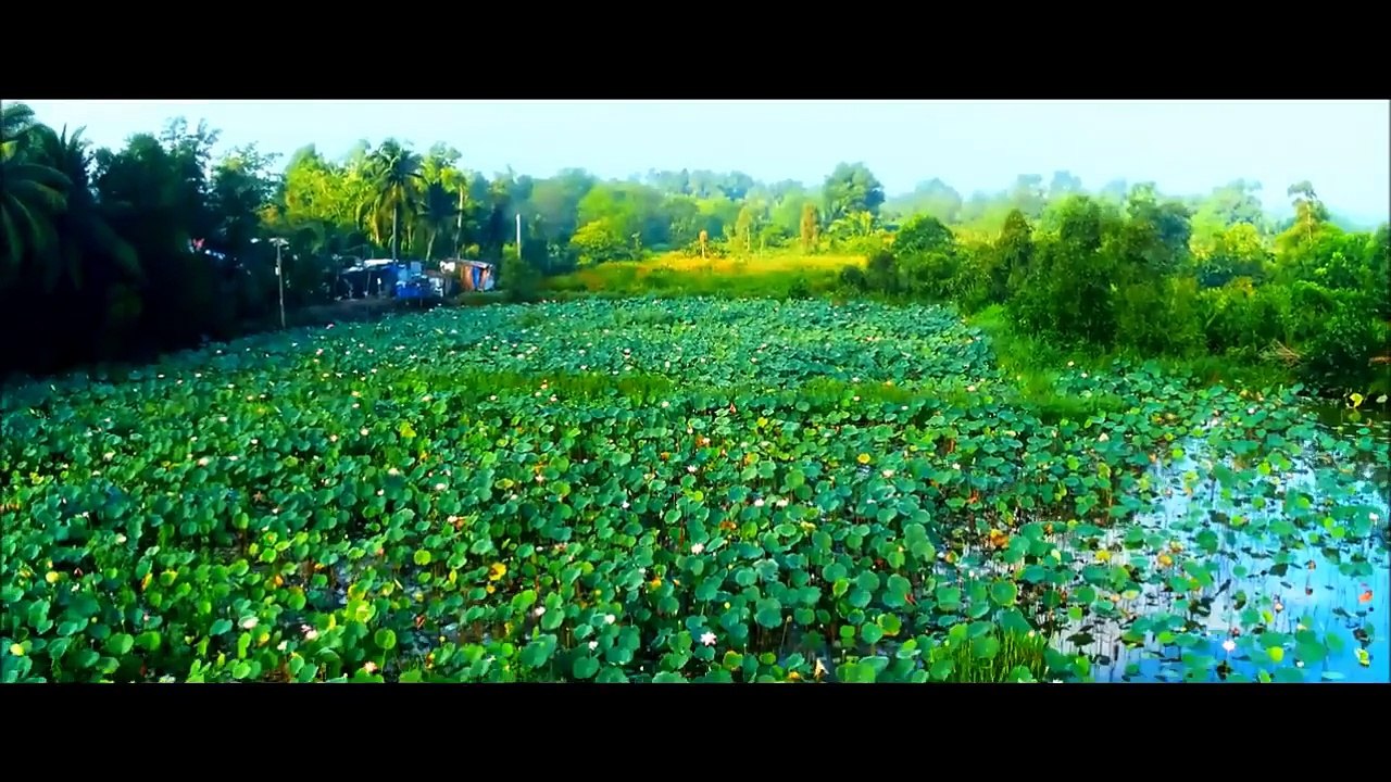 Trailer Phim 789 Mười