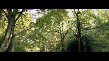 Bornes of hop (héroïque fantaisie ) film complet