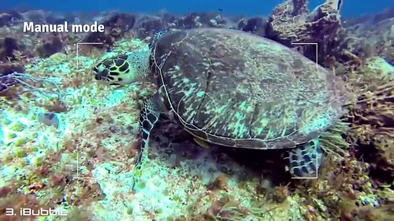 5 Underwater Drones You Must See