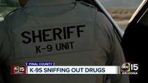 Pinal County K-9s sniffing out drugs