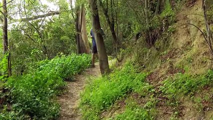 (1) Acecho -- Cortometraje Duoc UC 2016 - YouTube