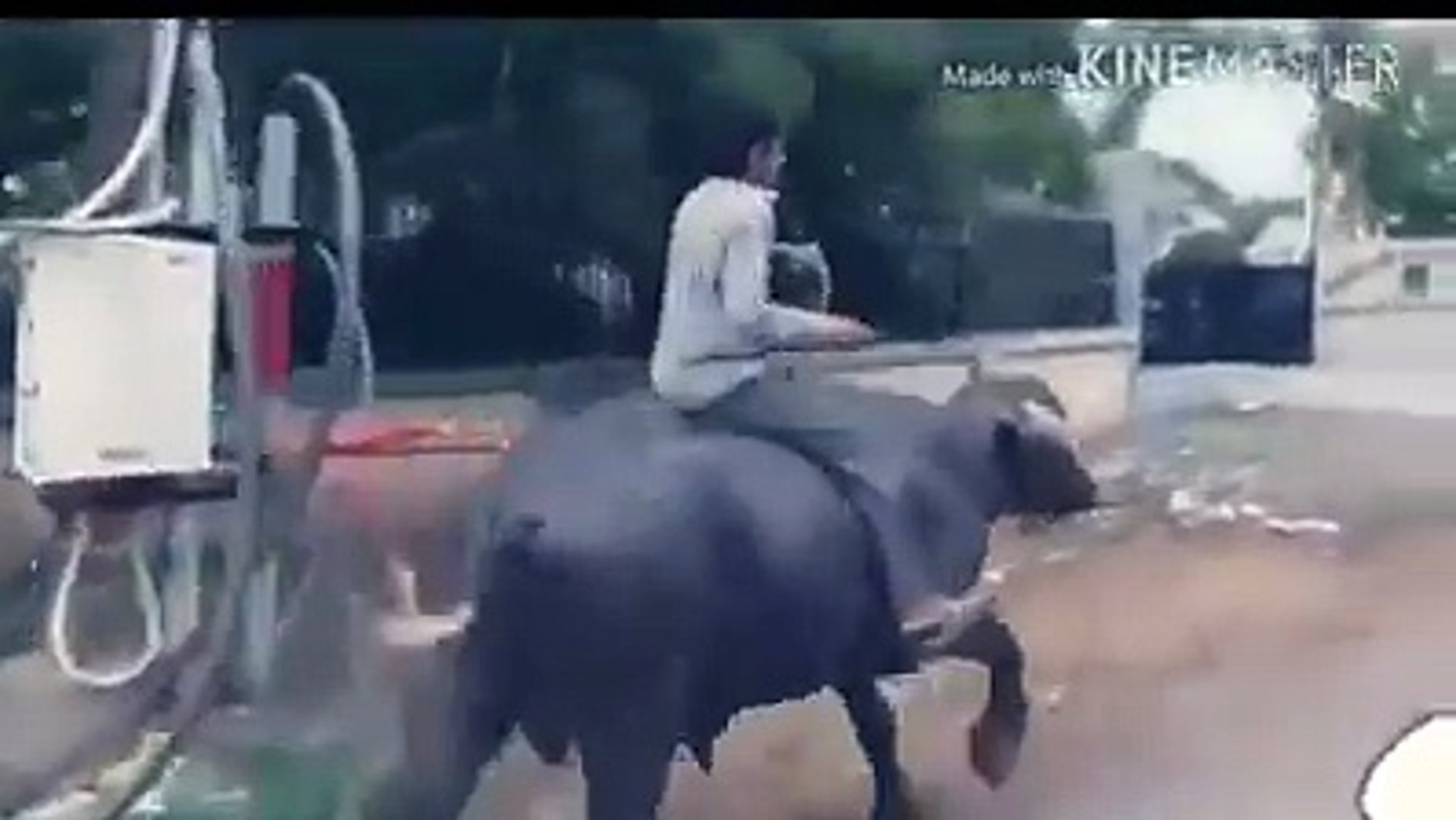 Gujjar In Action Funny Comedy Video