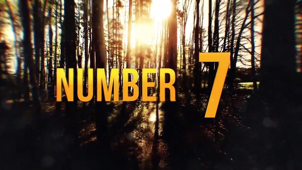 10 Unidentified Creatures