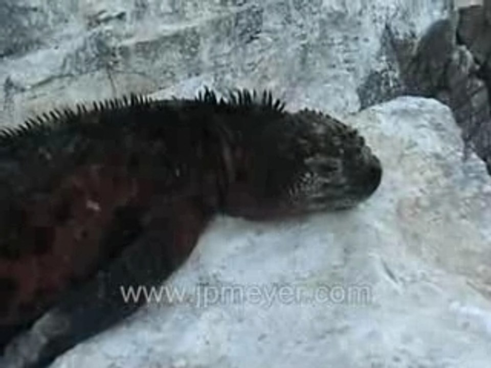 Galapagos Islands travel:Most pictures