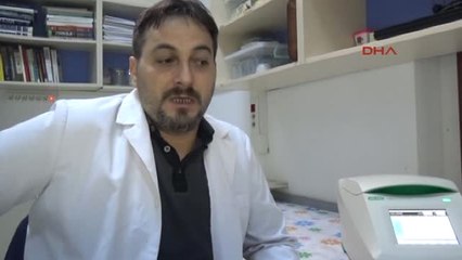 Rize Zika Virüsü Salgınına Neden Olan Sivrisinek, Türkiye'de Aranacak