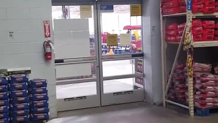 Un oiseau ouvre une porte automatique pour sortir d'un entrepôt