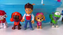 Paw Patrol Paddling Pups Swim in Barbie Dog Pup Pool Learn Colors Education