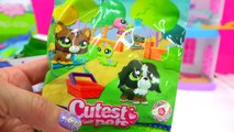 Littlest Pet Shop Cutest Pets Bobbleheads LPS Surprise Blind Bag Box - Cookieswirlc