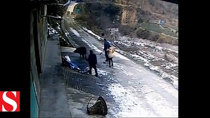 Yaban domuzu köyde dehşet saçtı: 1 ölü, 1 yaralı