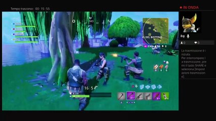 Nicolas09 Gamer - Fortnite Enthusiast 🎮