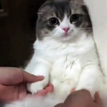 When someone tries to cheer me up