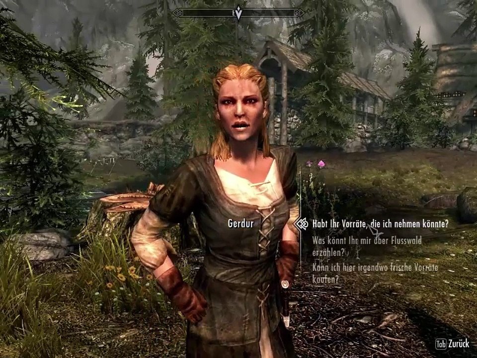 Schmiedemeister | skyrim #004 (ledevillp)