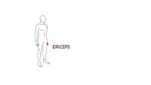 Como fazer recuperação muscular com o bastão Aptonia - Quadriceps - Exclusividade Decathlon
