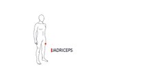Como fazer recuperação muscular com o massageador Aptonia - Quadriceps - Exclusividade Decathlon