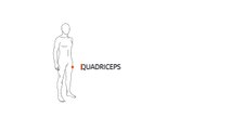 Como fazer recuperação muscular com o rolo Aptonia - Quadriceps - Exclusividade Decathlon