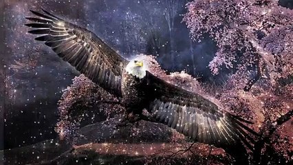 Guided Spirit Quest Meditation for Astral Travel // Lucid Dreaming // Spirit Connection