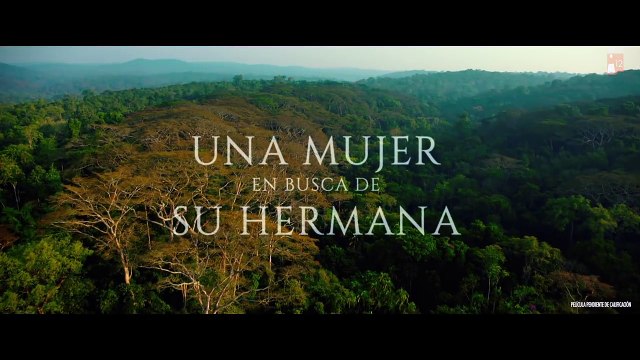 El cuaderno de Sara ver pelicula online completas + descargar gratis