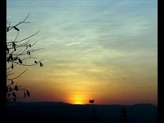 Miles Davis- Concierto De Aranjuez Adagio