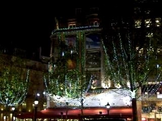 Arbres dans la ville